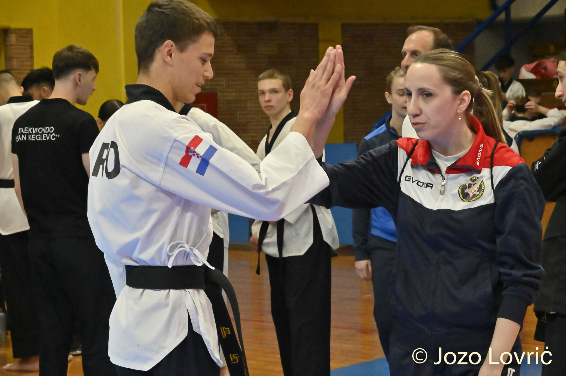 Taekwondo forme